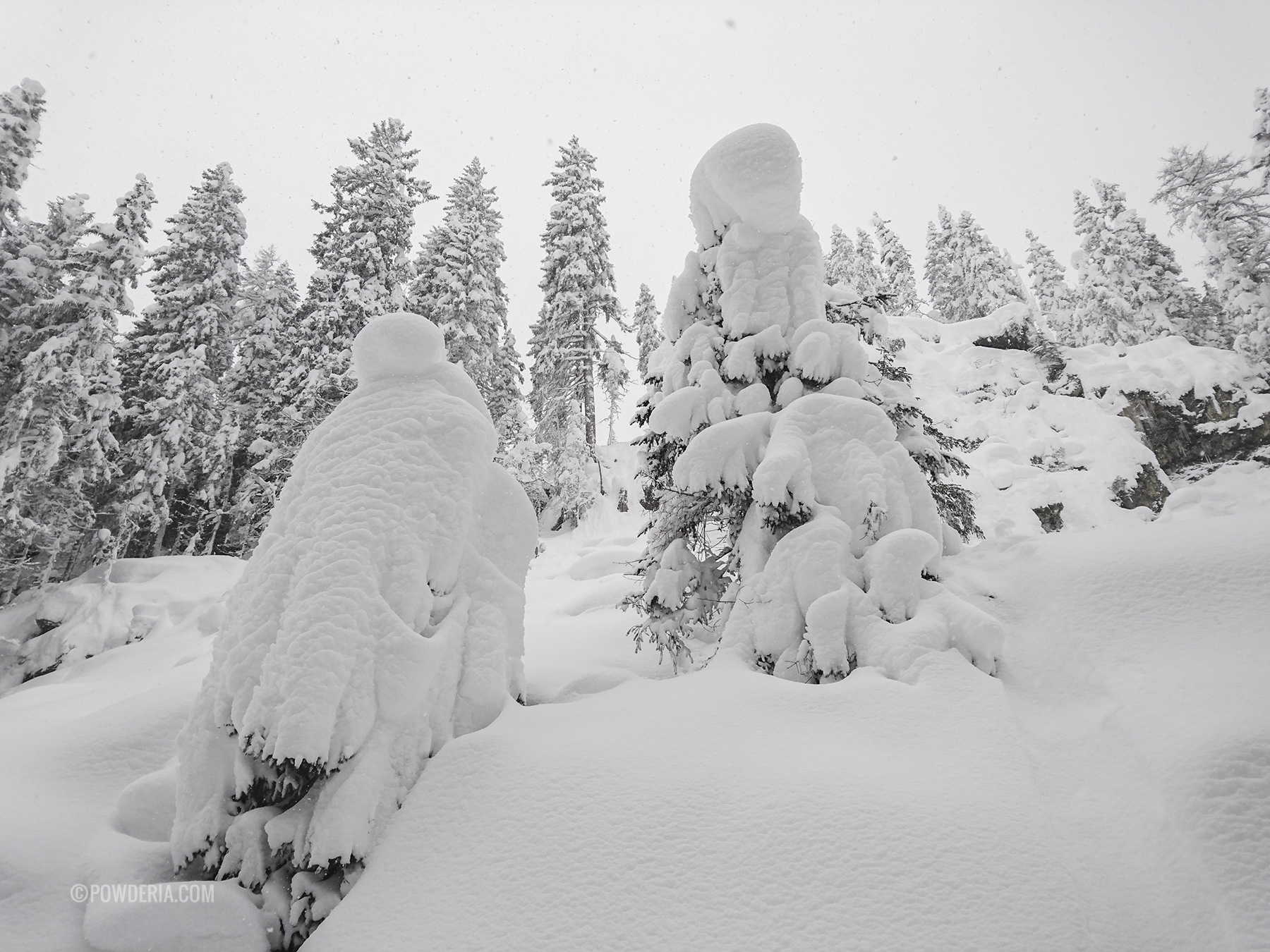 altenmarkt zauchensee SkiAmade powderia apartment winter paradise